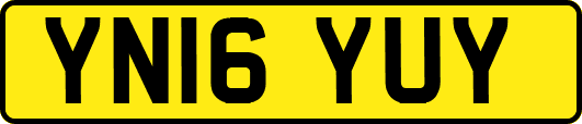YN16YUY
