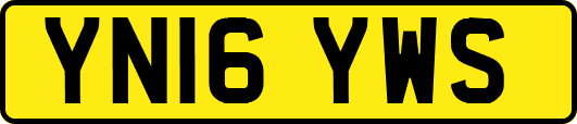 YN16YWS