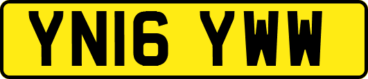 YN16YWW
