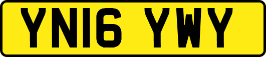 YN16YWY