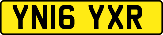 YN16YXR