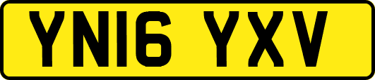 YN16YXV