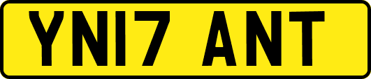 YN17ANT