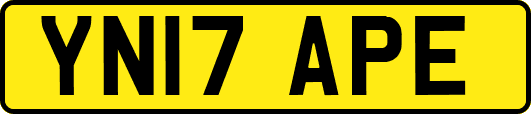 YN17APE