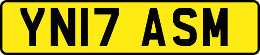 YN17ASM