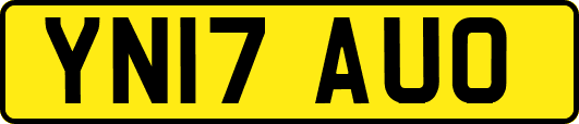 YN17AUO