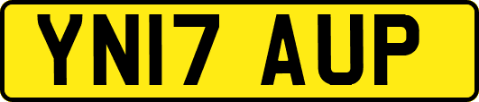 YN17AUP