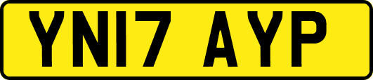 YN17AYP