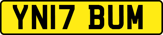 YN17BUM