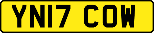 YN17COW