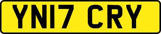 YN17CRY