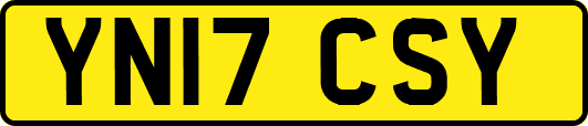 YN17CSY