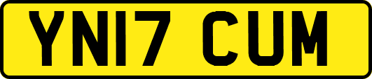 YN17CUM