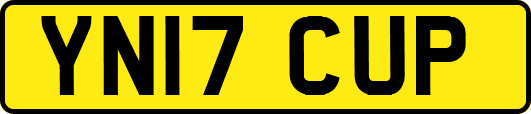 YN17CUP