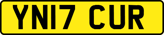 YN17CUR