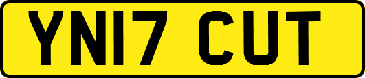 YN17CUT