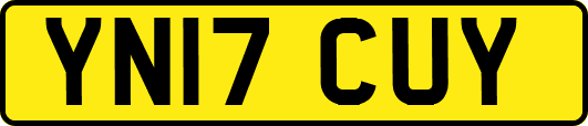 YN17CUY