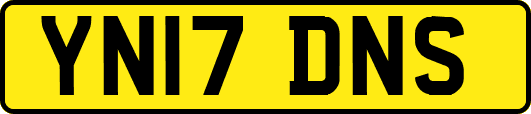 YN17DNS