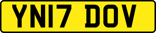 YN17DOV