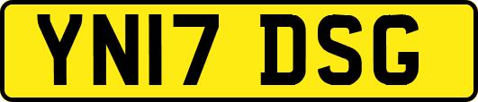 YN17DSG
