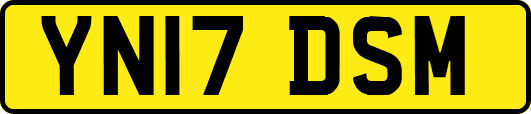 YN17DSM