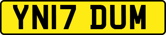 YN17DUM