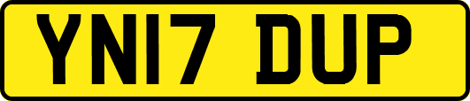 YN17DUP