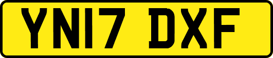 YN17DXF