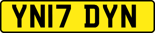 YN17DYN