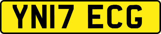 YN17ECG