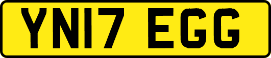 YN17EGG