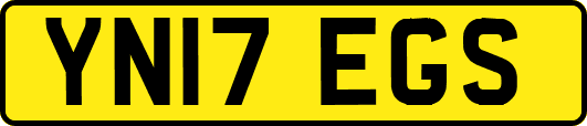 YN17EGS