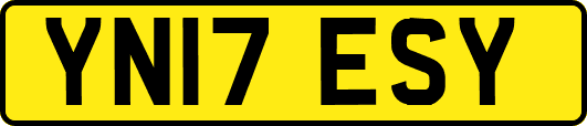 YN17ESY