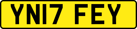 YN17FEY