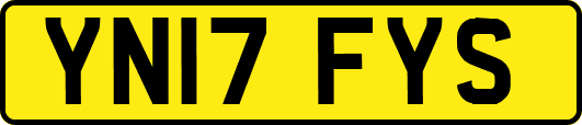 YN17FYS