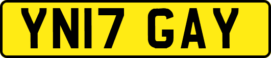 YN17GAY
