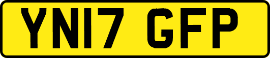YN17GFP