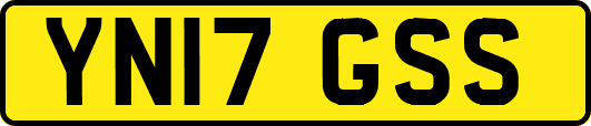 YN17GSS