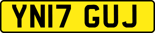 YN17GUJ