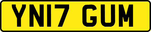 YN17GUM