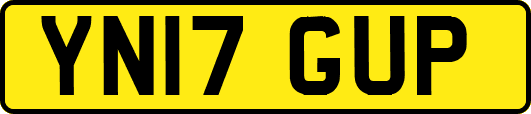 YN17GUP