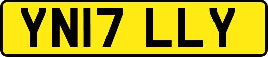 YN17LLY
