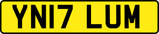 YN17LUM