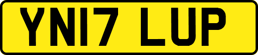 YN17LUP