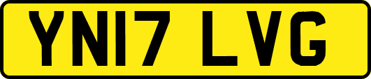 YN17LVG