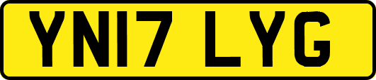 YN17LYG