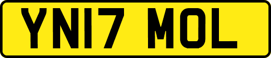 YN17MOL