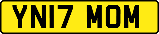 YN17MOM