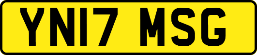YN17MSG