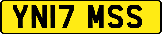 YN17MSS